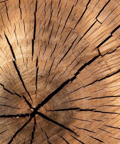 Custom wood furniture