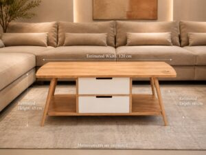 Furinno Modern Coffee table